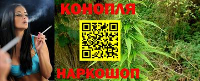 прущие грибы Боровичи
