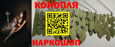 молекула духа Бердск