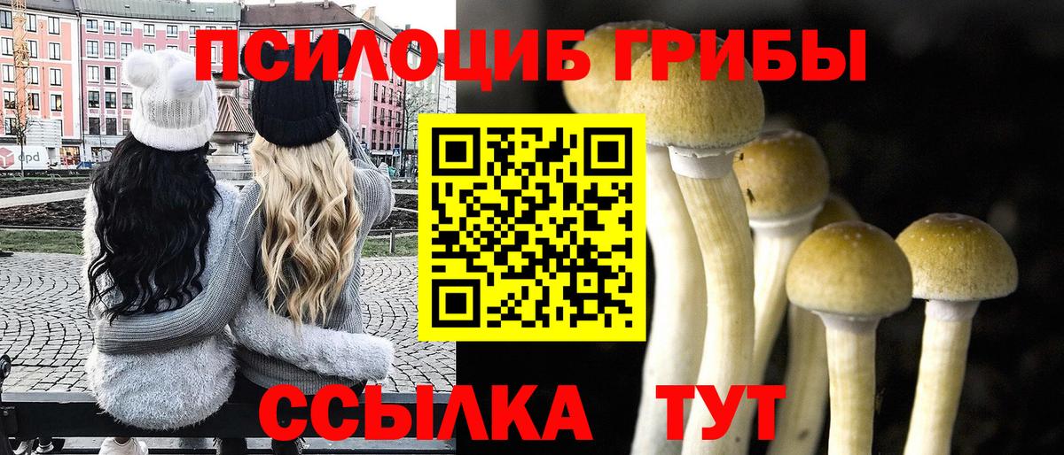 Псилоцибиновые грибы мухоморы Улан-Удэ