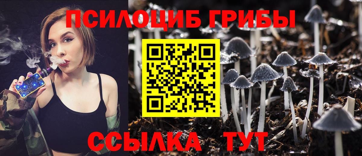 продажа наркотиков  Псилоцибиновые грибы MAGIC MUSHROOMS  Вход с VPN  Улан-Удэ 
